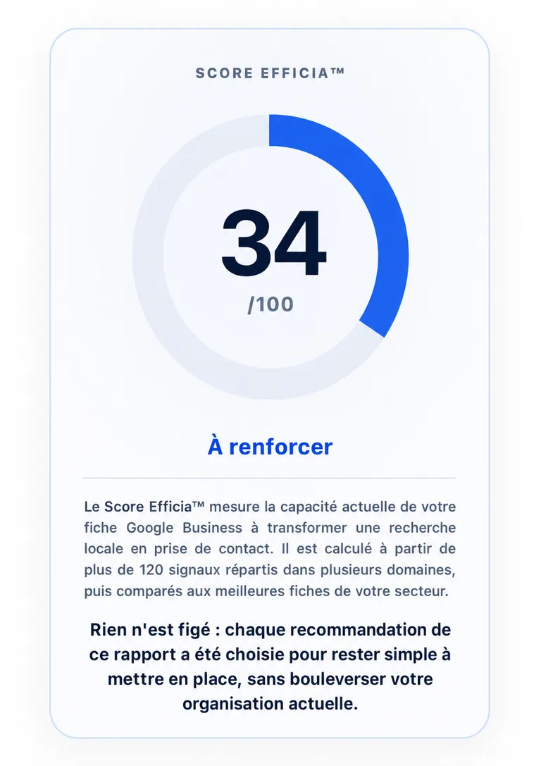 Exemple anonymisé de Score Efficia dans un Audit Premium